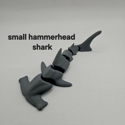 MARINE LIFE "HAMMERHEAD SHARKS"
